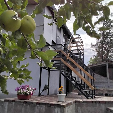 Уютный Ночлег Иссыкские Курганы Rahat Extérieur photo